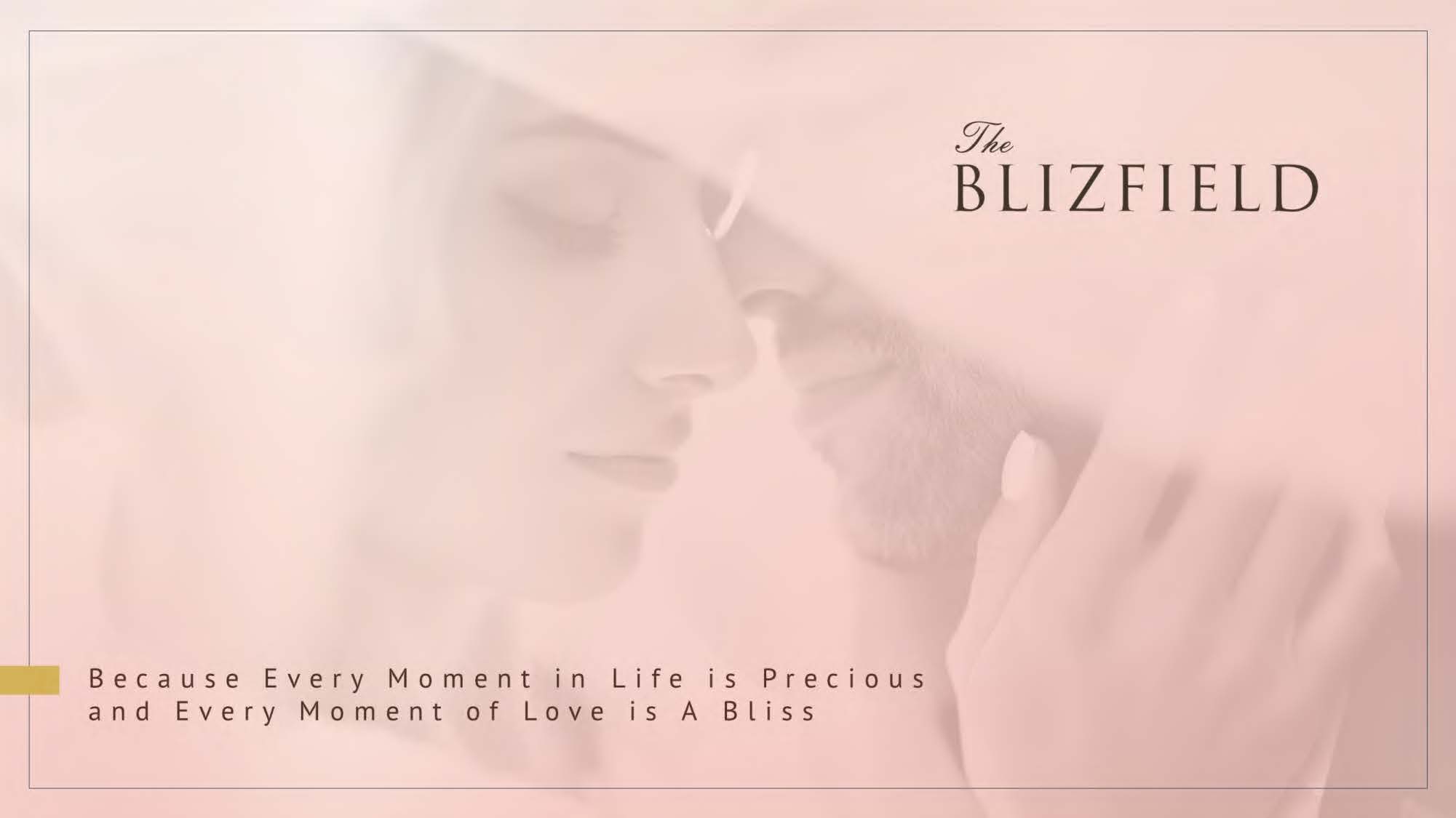 eBrochure-The-Blizfield_Page_02